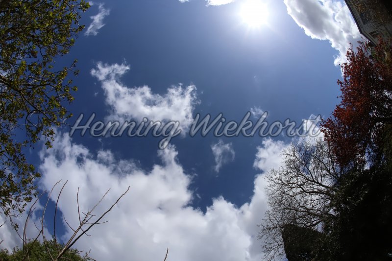 Blue sky with sun over trees - Henning Wiekhorst