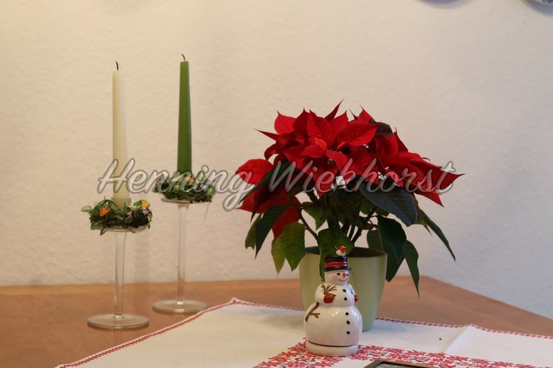 Blumen und Kerzen auf Tisch - Henning Wiekhorst