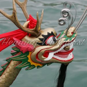 Decorated Chinese dragon head - Henning Wiekhorst