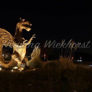 Der Drache von Wachtberg bei Nacht - Henning Wiekhorst