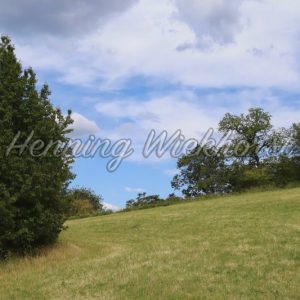 Grüne Landschaft unter blauem Himmel mit Wolken - Henning Wiekhorst