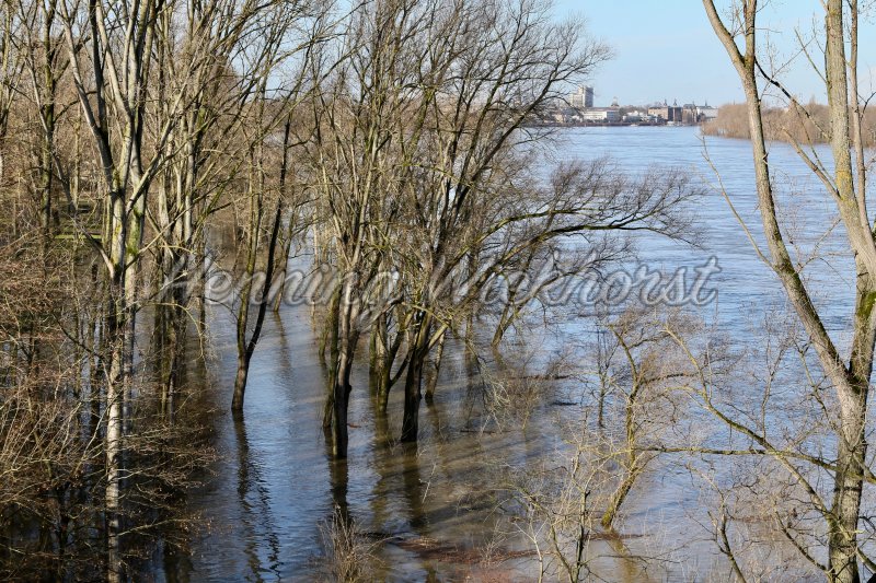 Hochwasser am Bonner Rheinufer - Henning Wiekhorst