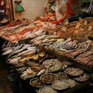 Hong Kong: Fischgeschäft in Wan Chai - Henning Wiekhorst
