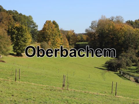 Oberbachem 1