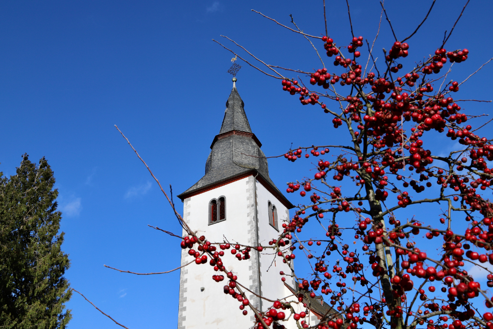 Glockenturm in Villip