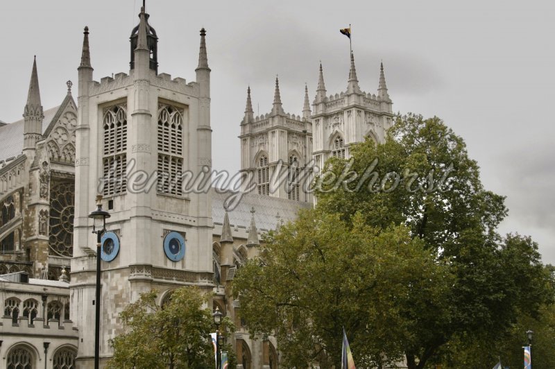 London (31) – Westminster Abbey hinter Bäumen - Henning Wiekhorst