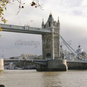 London (48) – Tower Bridge unter Baum - Henning Wiekhorst