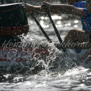 Paddel-Action im Drachenboot - Henning Wiekhorst