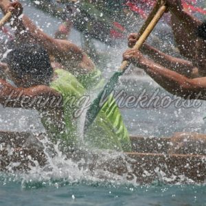 Paddlers of a dragon boat in action - Henning Wiekhorst