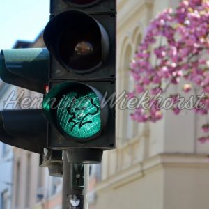 Portrait of Beethoven on green traffic light in his city of birth - Henning Wiekhorst