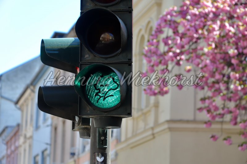 Portrait of Beethoven on green traffic light in his city of birth - Henning Wiekhorst