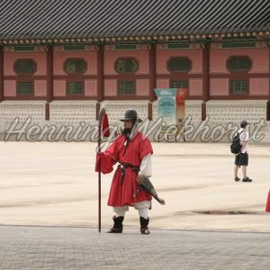 Seoul: Garde auf Palasthof - Henning Wiekhorst