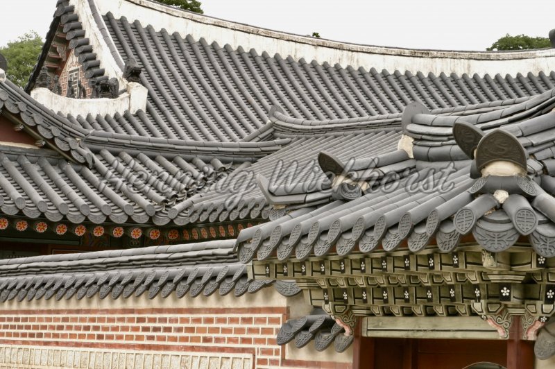 Seoul: Pagoden-Dächer des alten Palastes - Henning Wiekhorst