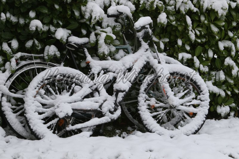 Snow covered bicycles - Henning Wiekhorst