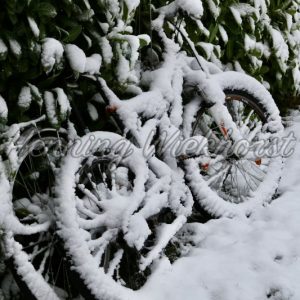 Snow covered bikes - Henning Wiekhorst