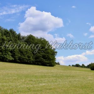 Sommer-Landschaft bei blauem Himmel mit weißen Wolken - Henning Wiekhorst
