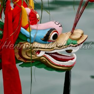 The dragon head of dragon boat - Henning Wiekhorst