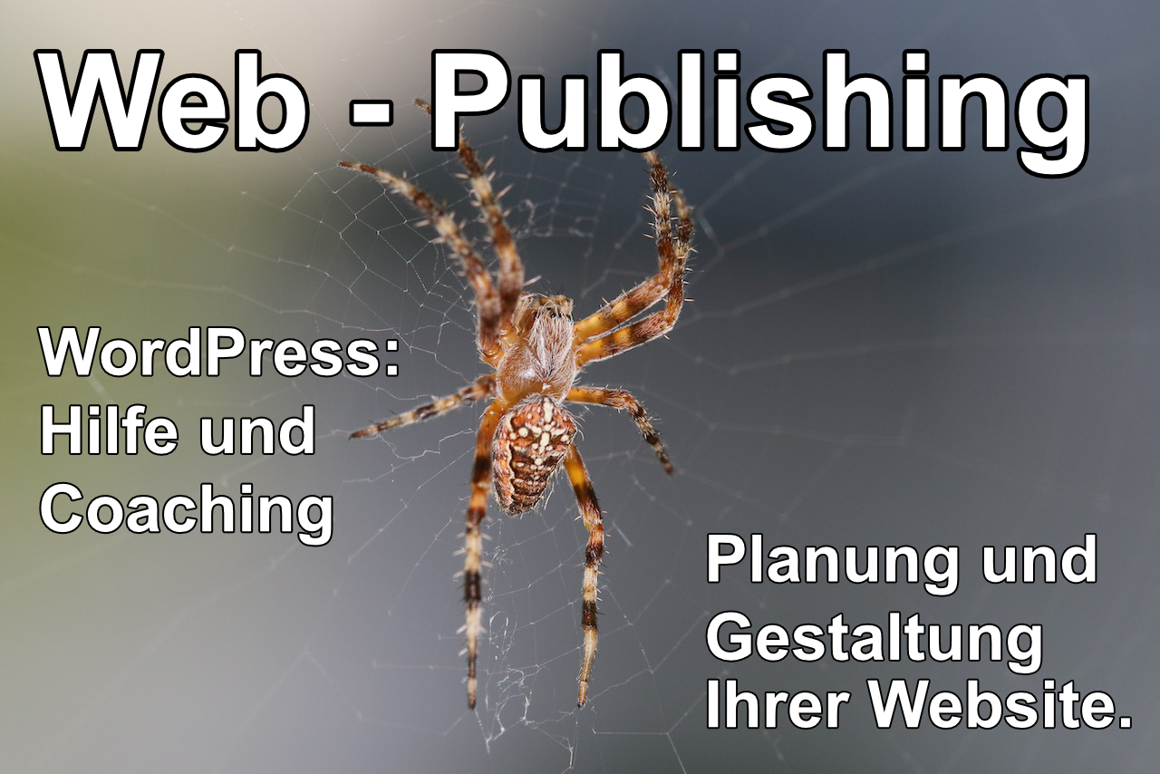 Web-Publishing