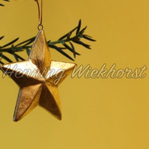 Weihnachts-Stern - Henning Wiekhorst