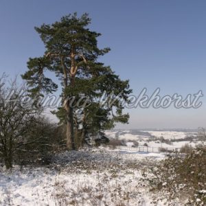 Winterlandschaft in Wachtberg / Niederbachem - Henning Wiekhorst