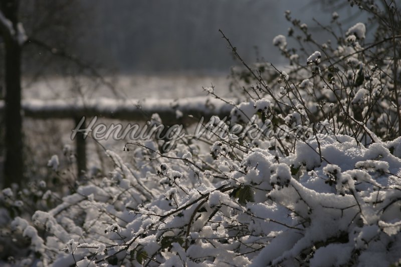 Winterliche Landschaft am Rodderberg - Henning Wiekhorst